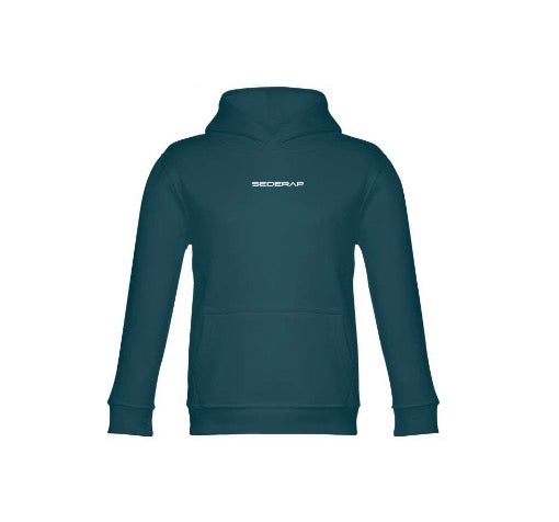 Hoodie “ Nada te vai faltar “